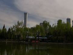 -团结湖公园