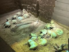 -秦始皇帝陵博物院-丽山园