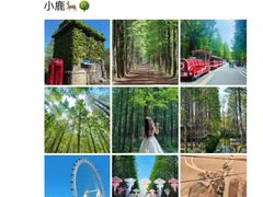 -日照海滨国家森林公园