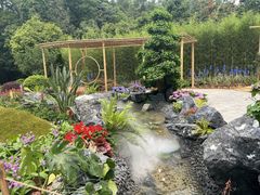 -深圳仙湖植物园