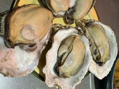 高压锅生蚝-冶建镜子·中国龙虾王(总店)