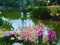 -人民公园(罗湖区)