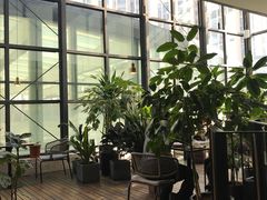 露天位-大树餐厅(红旗街万达店)