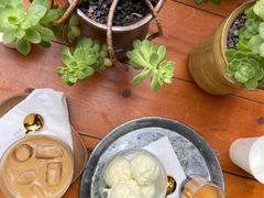 -又至园精品咖啡馆(将军塘店)