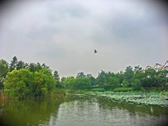 -新江湾城公园