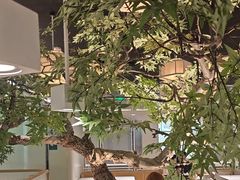 -绿茶餐厅(广州天河城店)