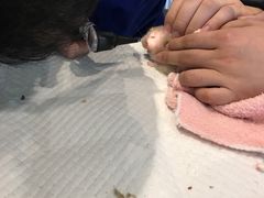 -雨林宠物医院 非犬猫异宠专科