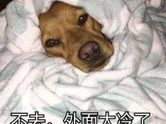 -中国照相馆(王府井店)