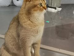 -北大资源博雅城