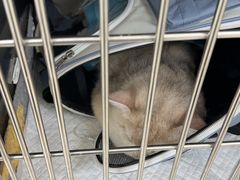 -美联众合动物医院·24h京西诊疗中心
