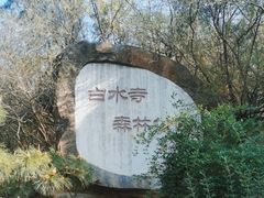 -白水寺森林公园