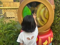 -日本环球影城