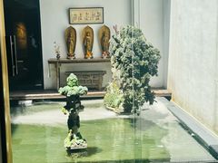 -觀芷隐轩