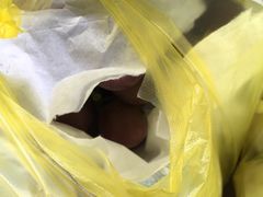 -马陆小张葡萄园农家乐