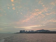 -海豚湾扬帆出海帆船游艇