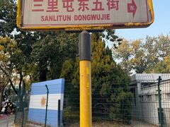 -三里屯东五街银杏大道
