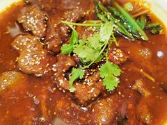 水煮牛肉-张生记(丁香国际店)
