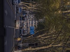 -武汉关码头(轮渡站)