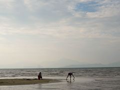 -巽寮印象美食部落餐厅·海鲜·地方特色菜(惠州体验店)