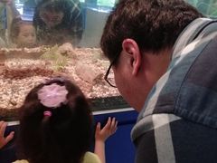 -上海昆虫博物馆