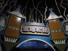 -海合安青岛极地海洋公园