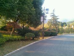 android_upload_pic-旺山景区