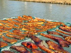 -东钱湖旅游度假区