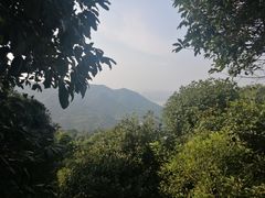 -南山植物园