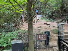 -白马涧龙池景区