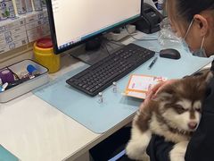 -子乐宠物医院