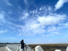 -南汇嘴观海公园