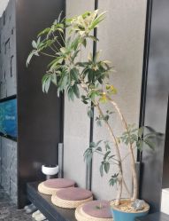 -欧兔博士·O2BOX微高压氧舱