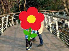 -西湖风景区-江洋畈生态公园