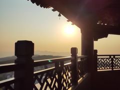 -铁山坪森林公园