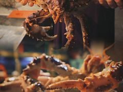 -湛江渔港·大排档(乐园路总店)