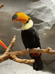 -Zoolung Zoolung动物主题公园(海信广场店)