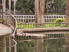 -南宁市动物园