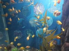 -福州罗源湾海洋世界旅游区