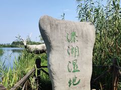-溱湖国家湿地公园