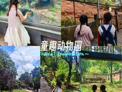 -昆明动物园