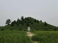 android_upload_pic-茂陵博物馆