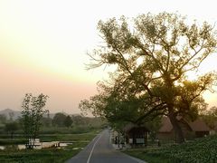 -良渚古城遗址公园
