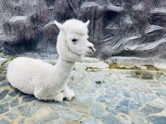 -上海大自然野生昆虫馆