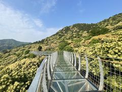 -大余丫山旅游度假区