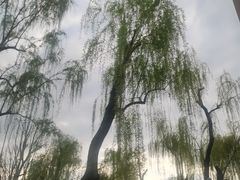 -钱王祠