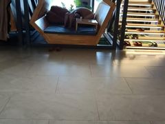 -星河湾温泉洗浴酒店