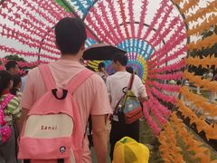 -广东花都香草世界旅游度假区