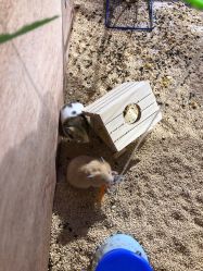 -酷嗒动物文化乐园(cutezoo西溪乐天城店)