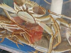 -阳澄湖大闸蟹·琼灵阁牌品牌连锁(吴中总店)
