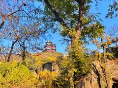 -阅江楼风景区